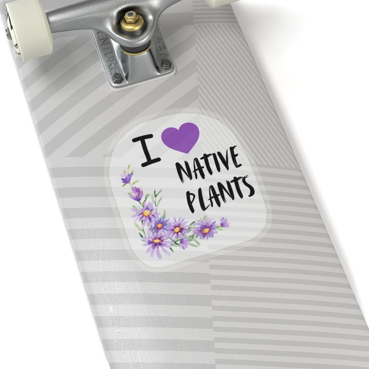 Stickers, I Love Native Plants, Asters