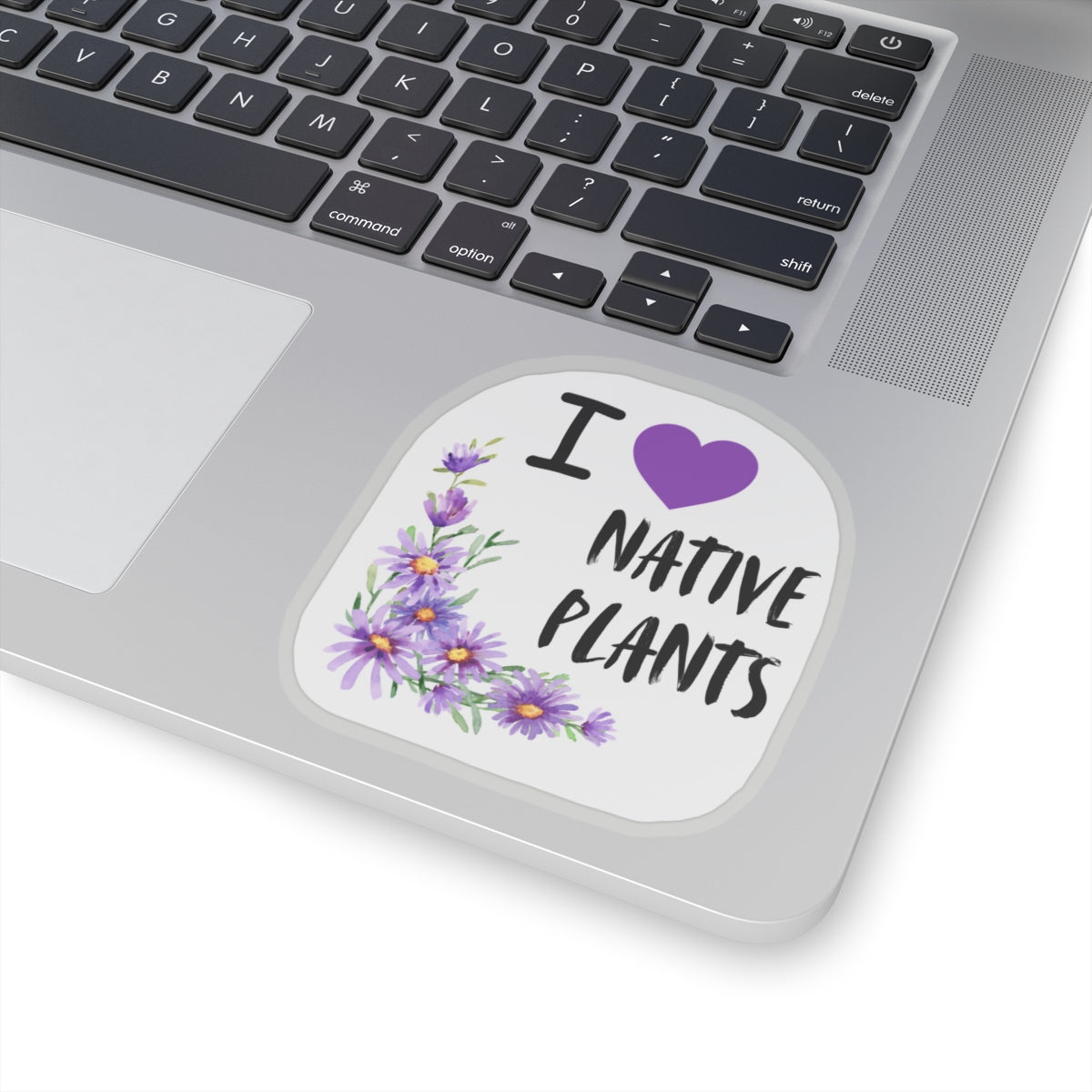 Stickers, I Love Native Plants, Asters
