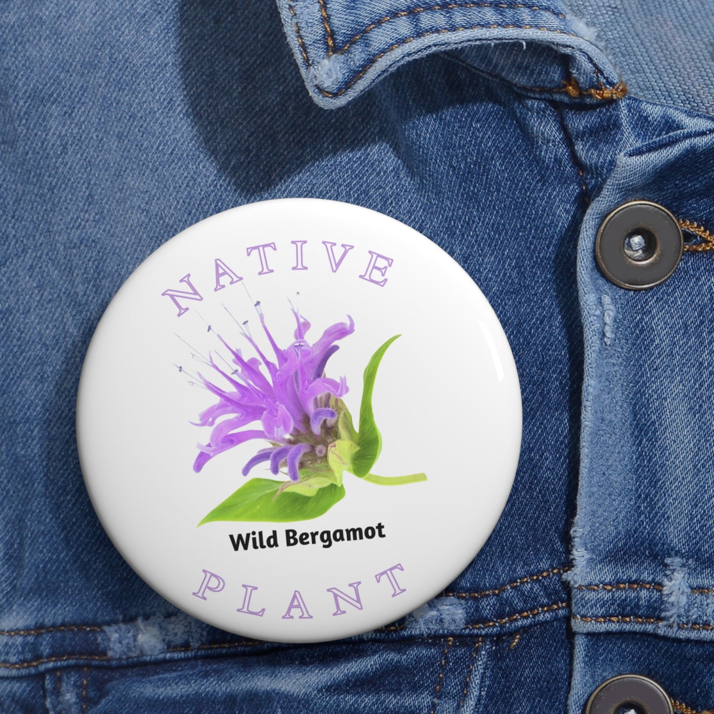 Native Plant Pin Buttons, Wild Bergamot