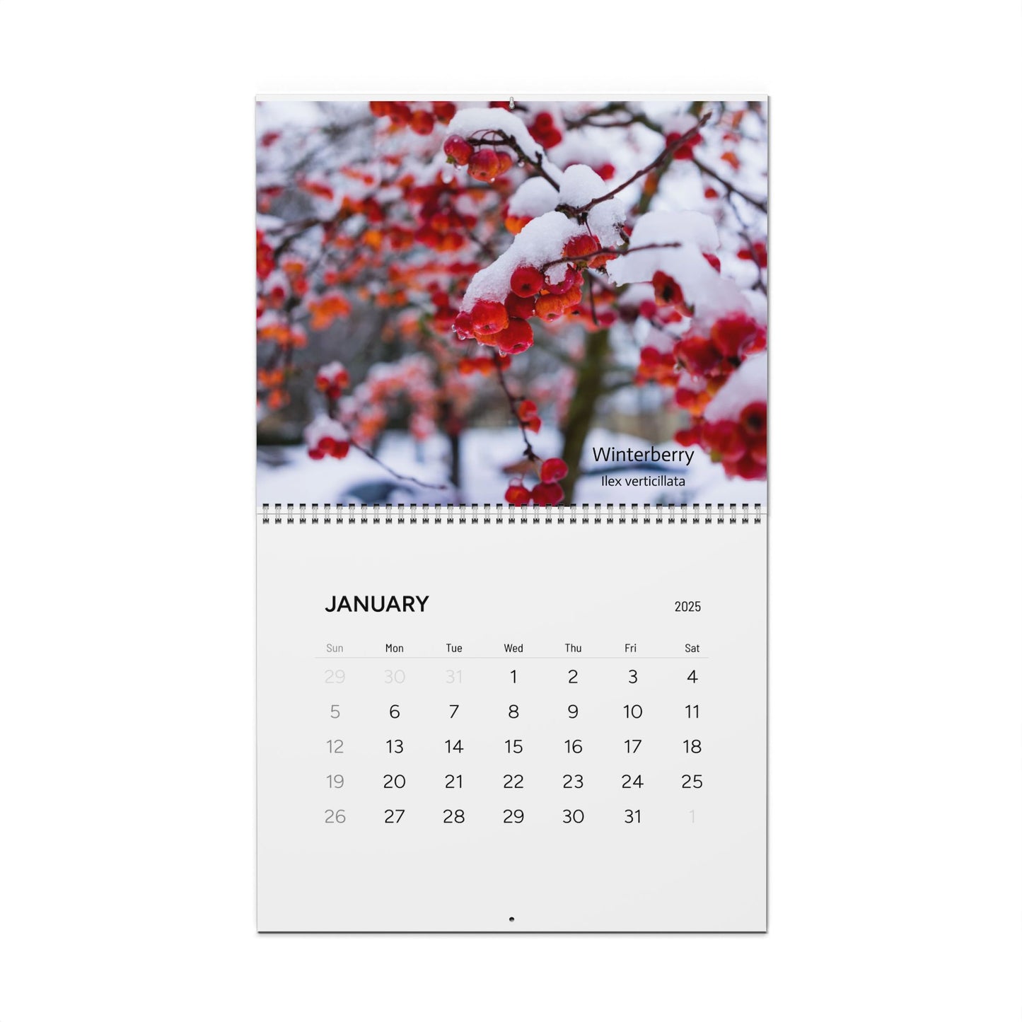 Calendar 2025, Wall, Native Plants of Michigan