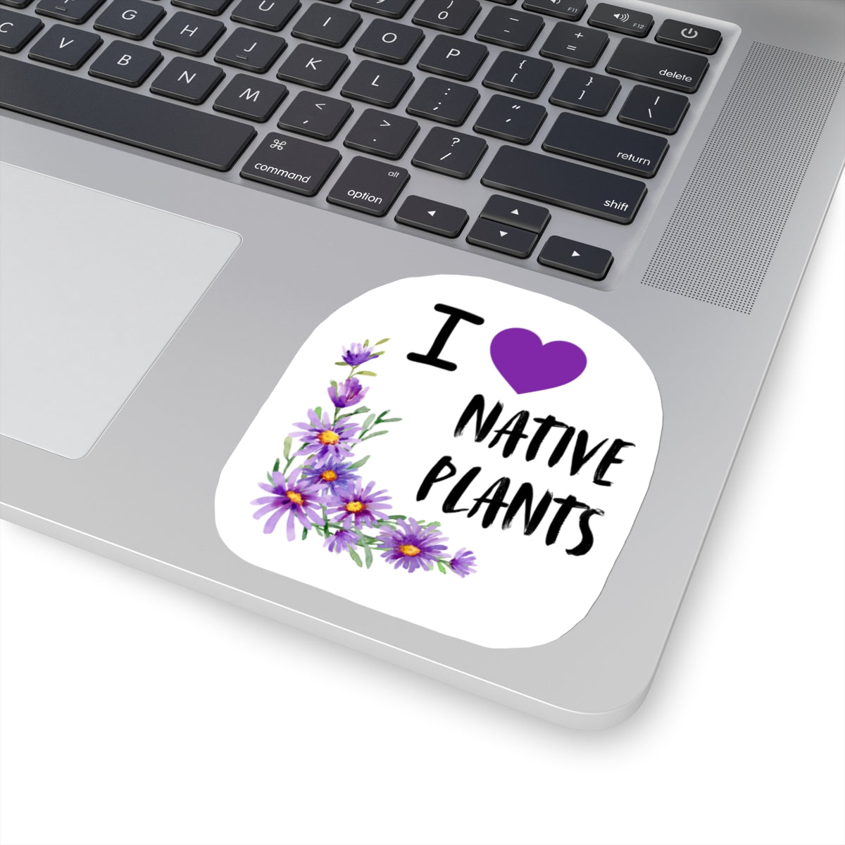 Stickers, I Love Native Plants, Asters