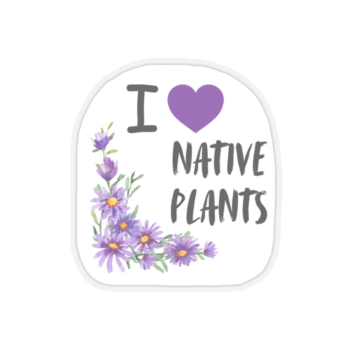 Stickers, I Love Native Plants, Asters