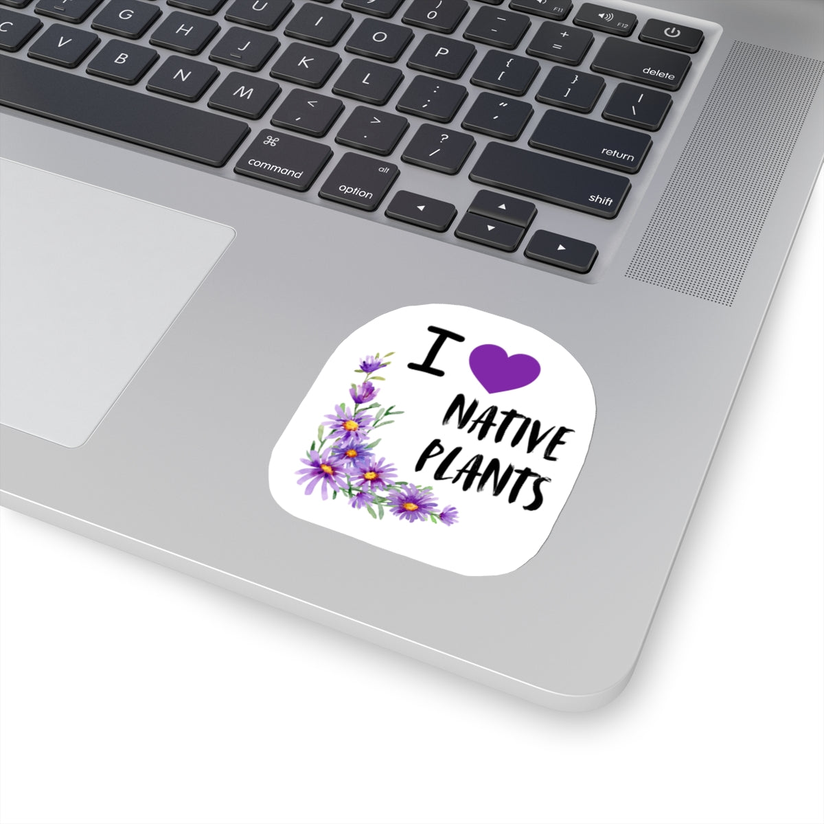 Stickers, I Love Native Plants, Asters