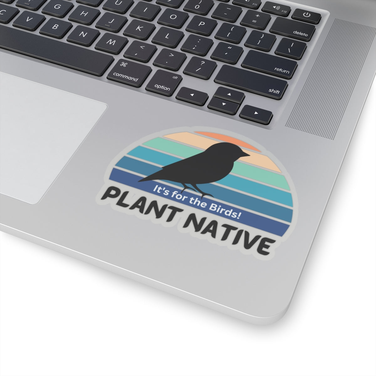 Stickers, It's For The Birds, Transparent