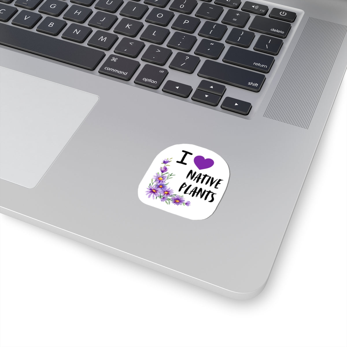 Stickers, I Love Native Plants, Asters