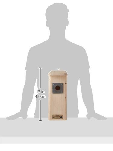 Coveside Mounted Downy Woodpecker Bird Nest House