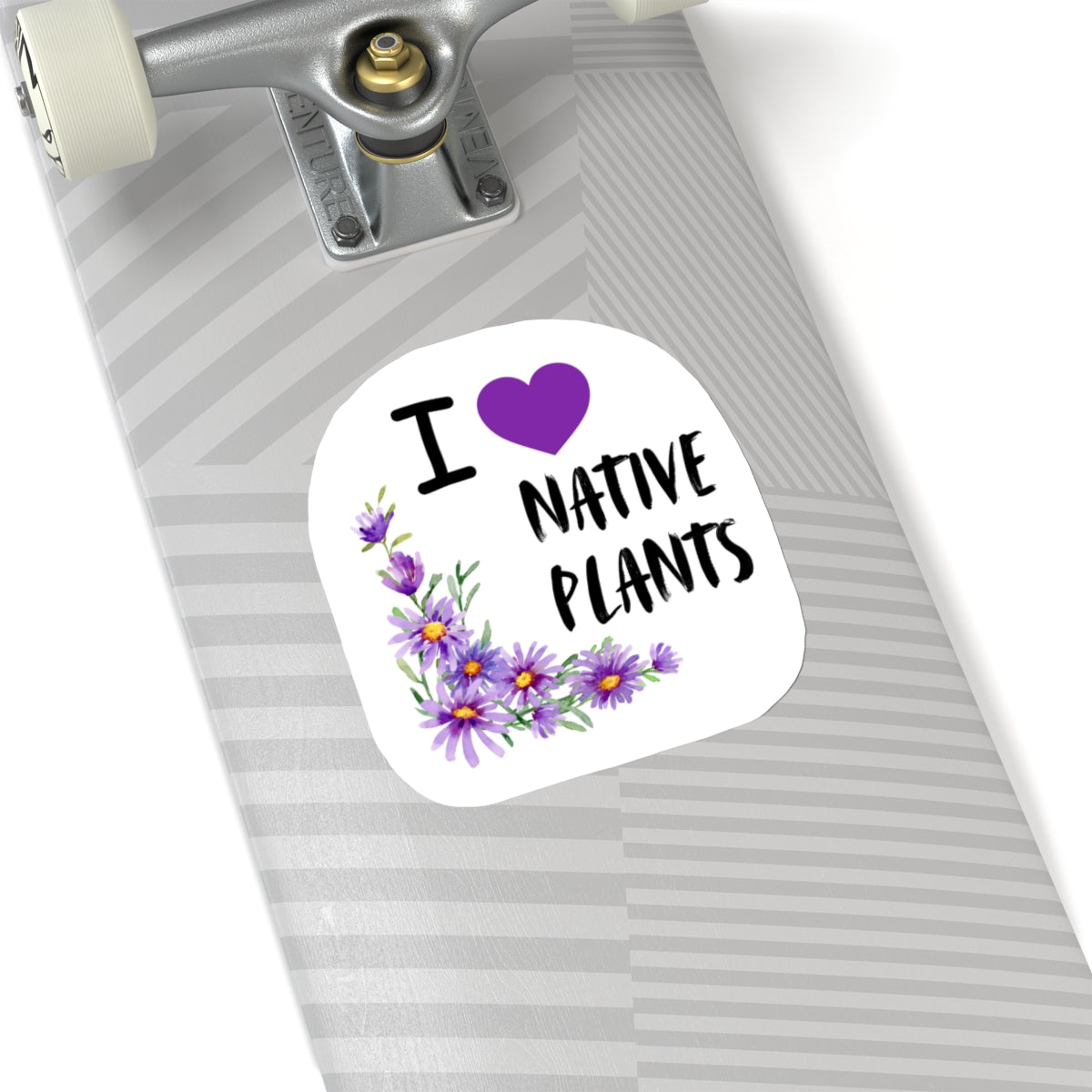 Stickers, I Love Native Plants, Asters