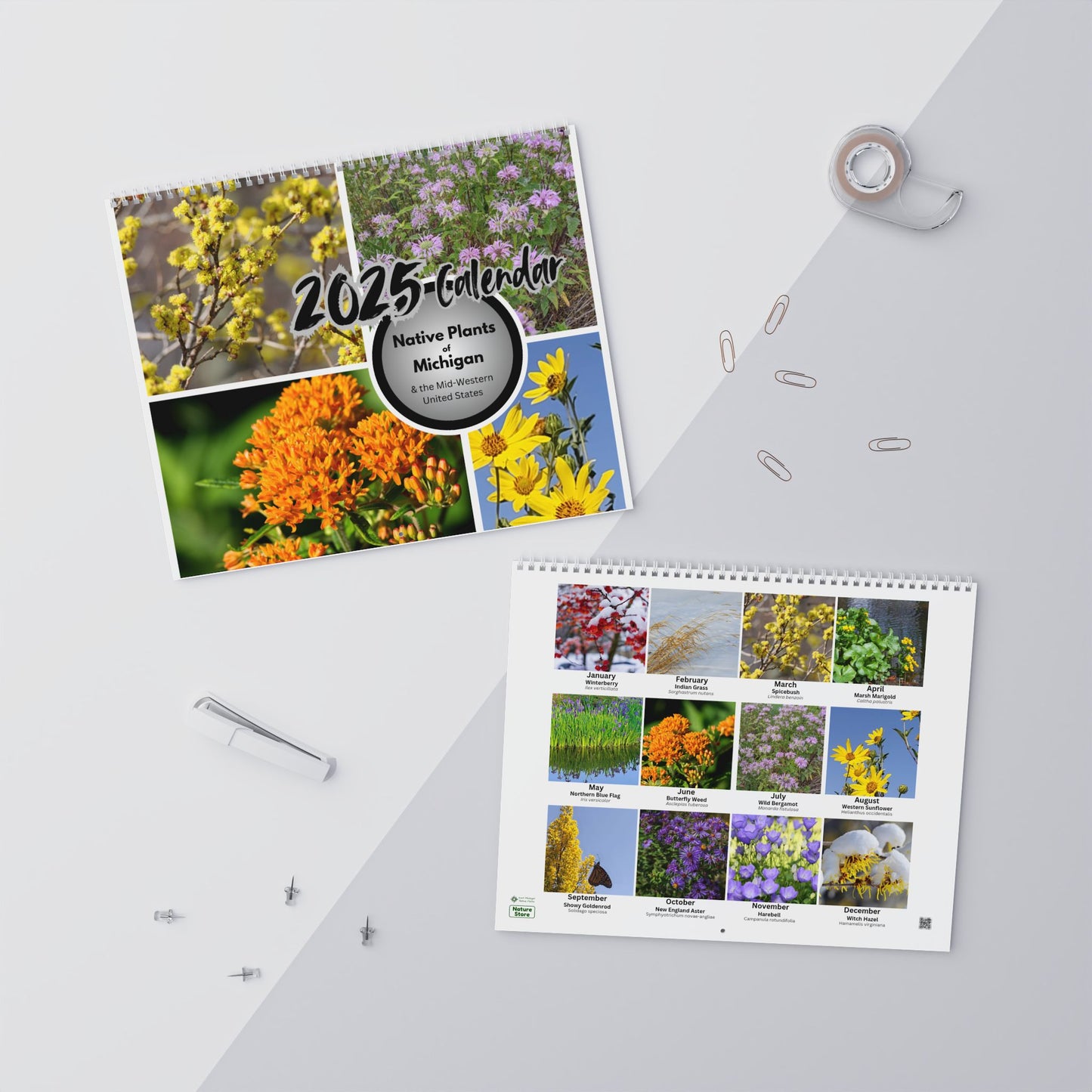 Calendar 2025, Wall, Native Plants of Michigan