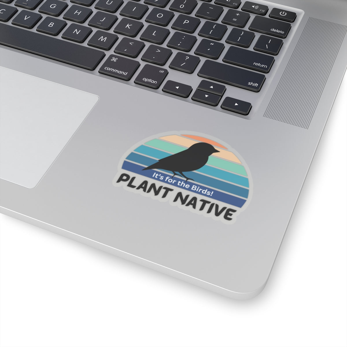 Stickers, It's For The Birds, Transparent