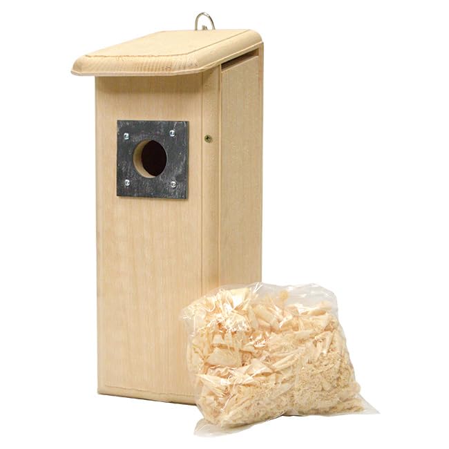 Coveside Mounted Downy Woodpecker Bird Nest House