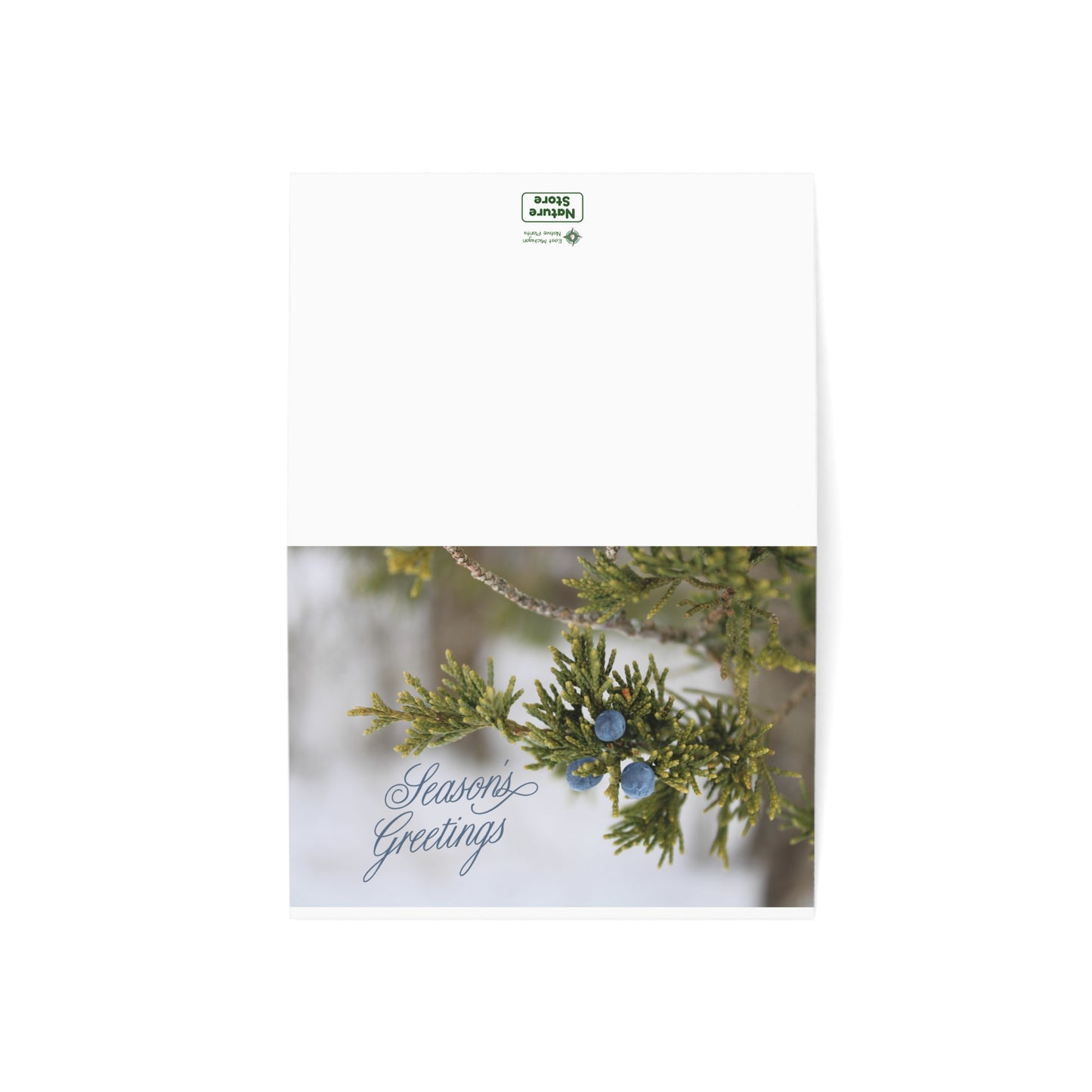 Holiday Cards, Red Cedar (1, 10, 30, and 50pcs)