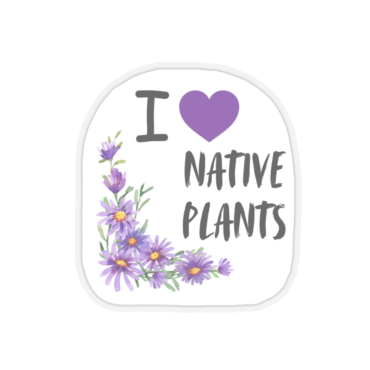 Stickers, I Love Native Plants, Asters