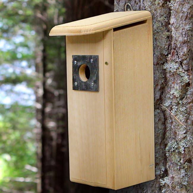 Coveside Mounted Downy Woodpecker Bird Nest House