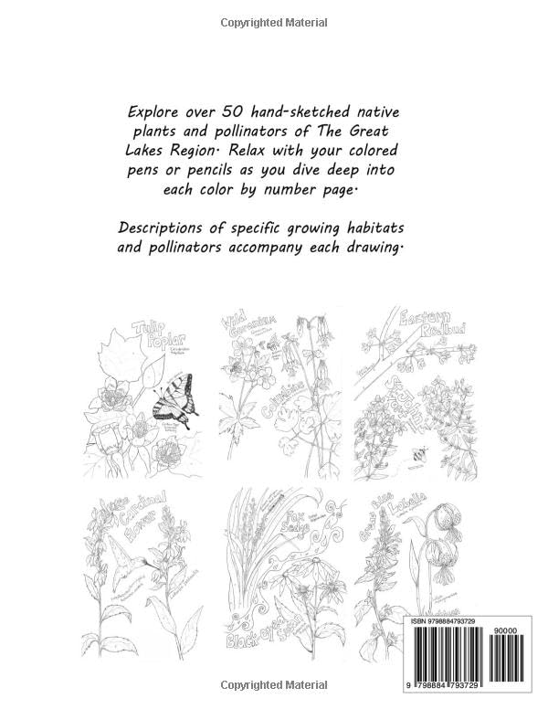 Native Plants of the Great Lakes Region: 50 Hand-Sketched Wildflowers, Pollinators and More