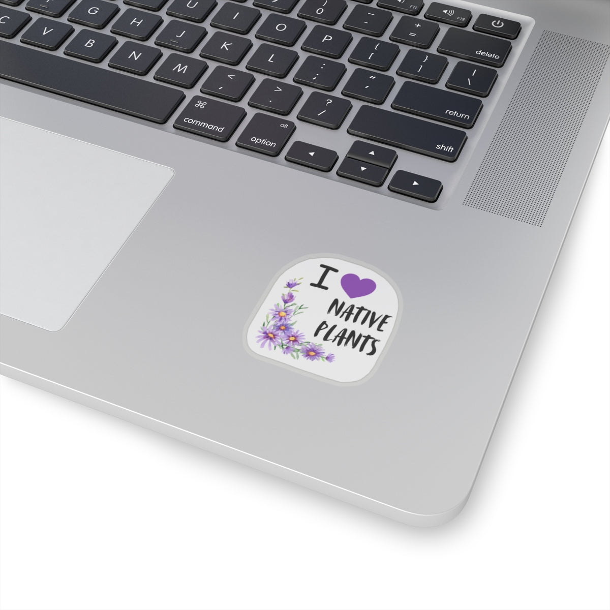 Stickers, I Love Native Plants, Asters