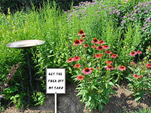8"x12" Metal Yard Sign "Get the Fuck Off My Yard" Funny Yard Signs, Lawn Signs with Stakes, Outdoor Decor Signs, Private Property Signs