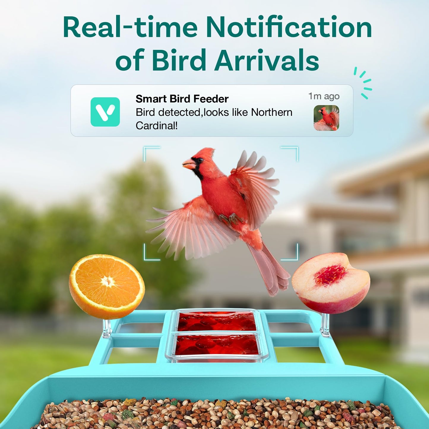Smart Bird Feeder with Camera, Free AI to Identify 11000+ Bird Species, Solar Panels Bird Video & Motion Detection Camera Auto Capture Notify,Hummingbird Camera Feeder for Outdoors