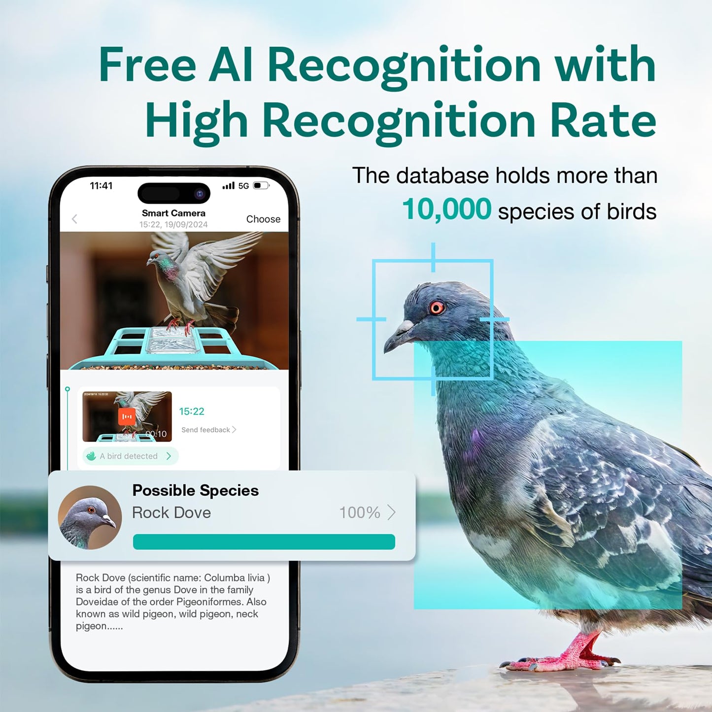Smart Bird Feeder with Camera, Free AI to Identify 11000+ Bird Species, Solar Panels Bird Video & Motion Detection Camera Auto Capture Notify,Hummingbird Camera Feeder for Outdoors