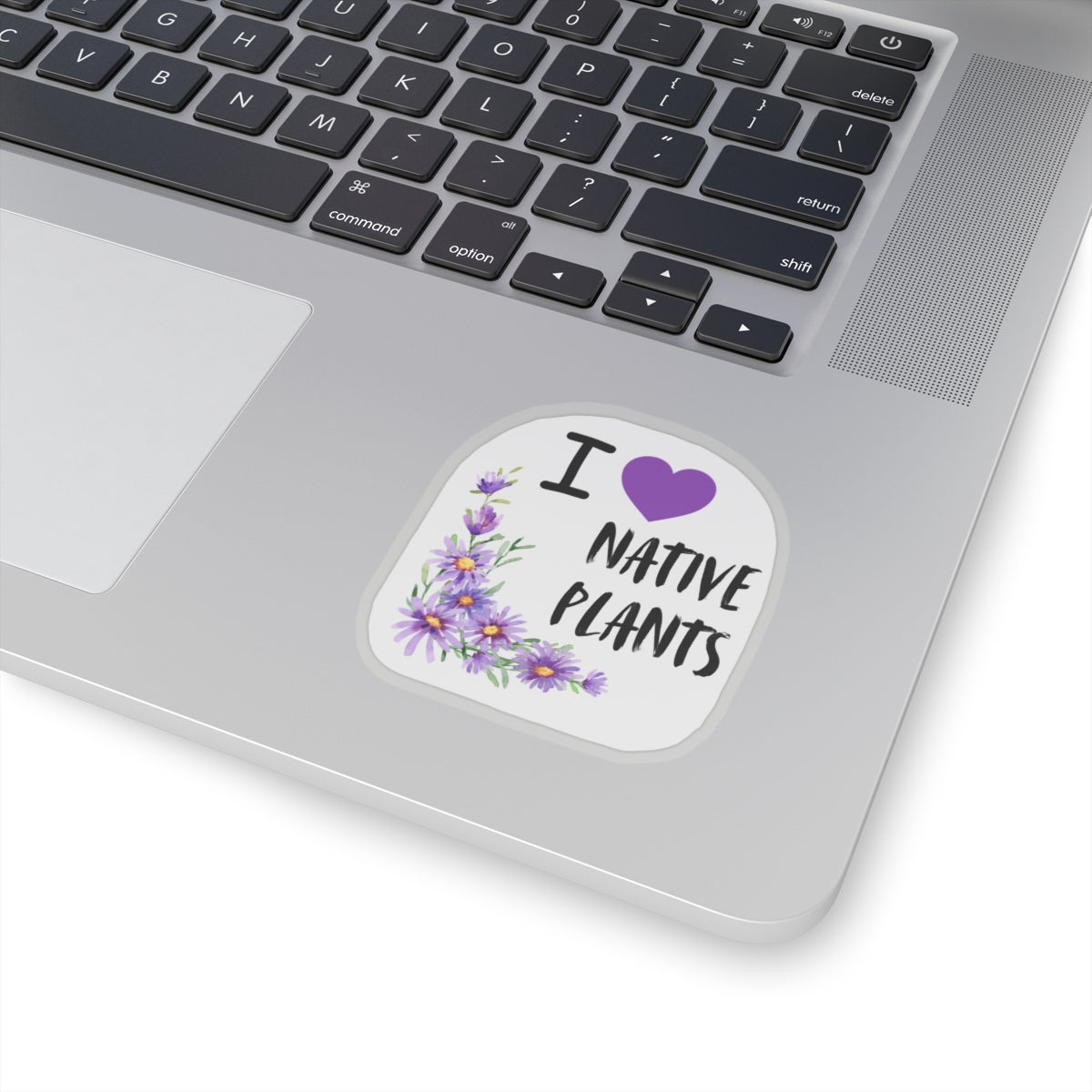 Stickers, I Love Native Plants, Asters