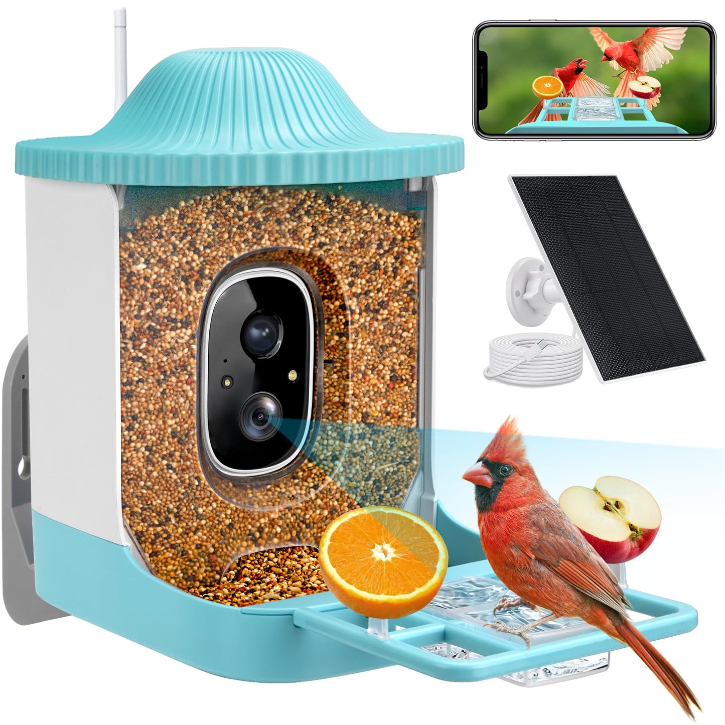 Smart Bird Feeder with Camera, Free AI to Identify 11000+ Bird Species, Solar Panels Bird Video & Motion Detection Camera Auto Capture Notify,Hummingbird Camera Feeder for Outdoors