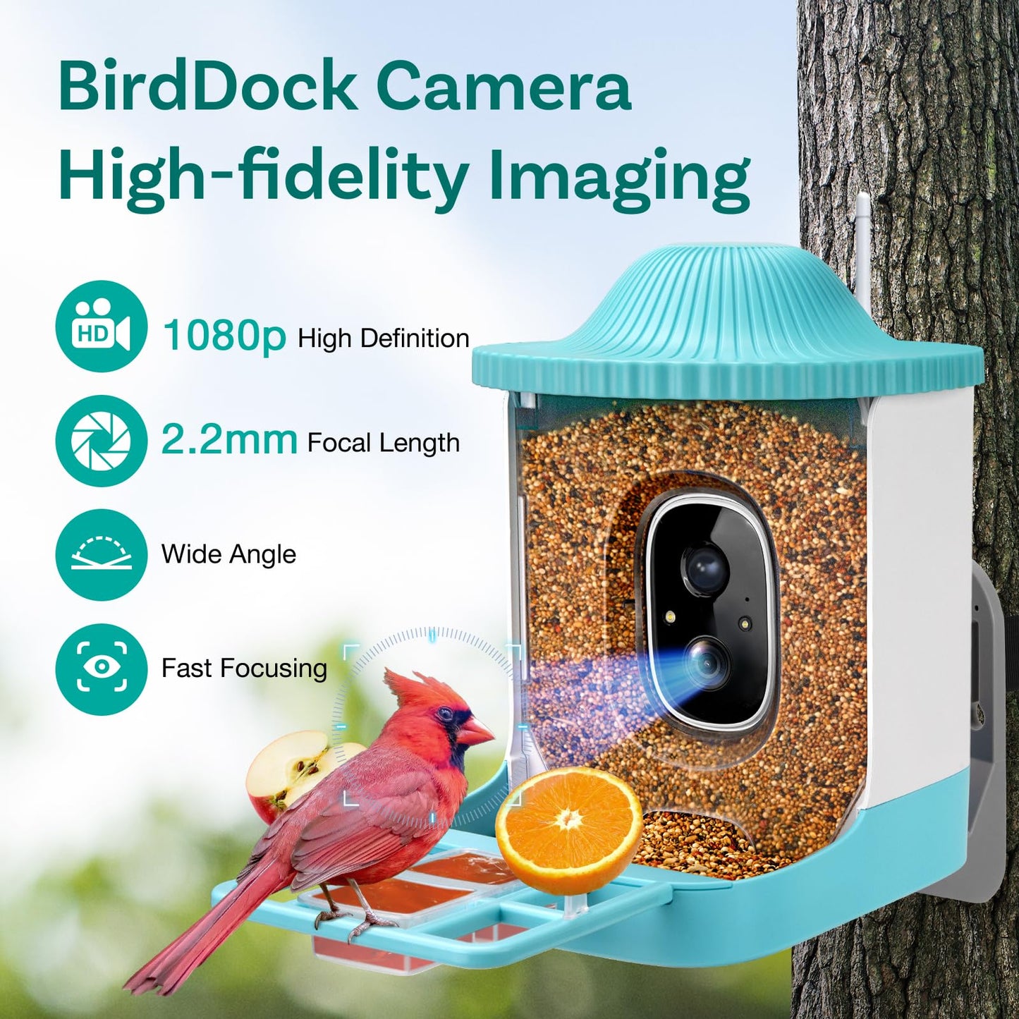 Smart Bird Feeder with Camera, Free AI to Identify 11000+ Bird Species, Solar Panels Bird Video & Motion Detection Camera Auto Capture Notify,Hummingbird Camera Feeder for Outdoors