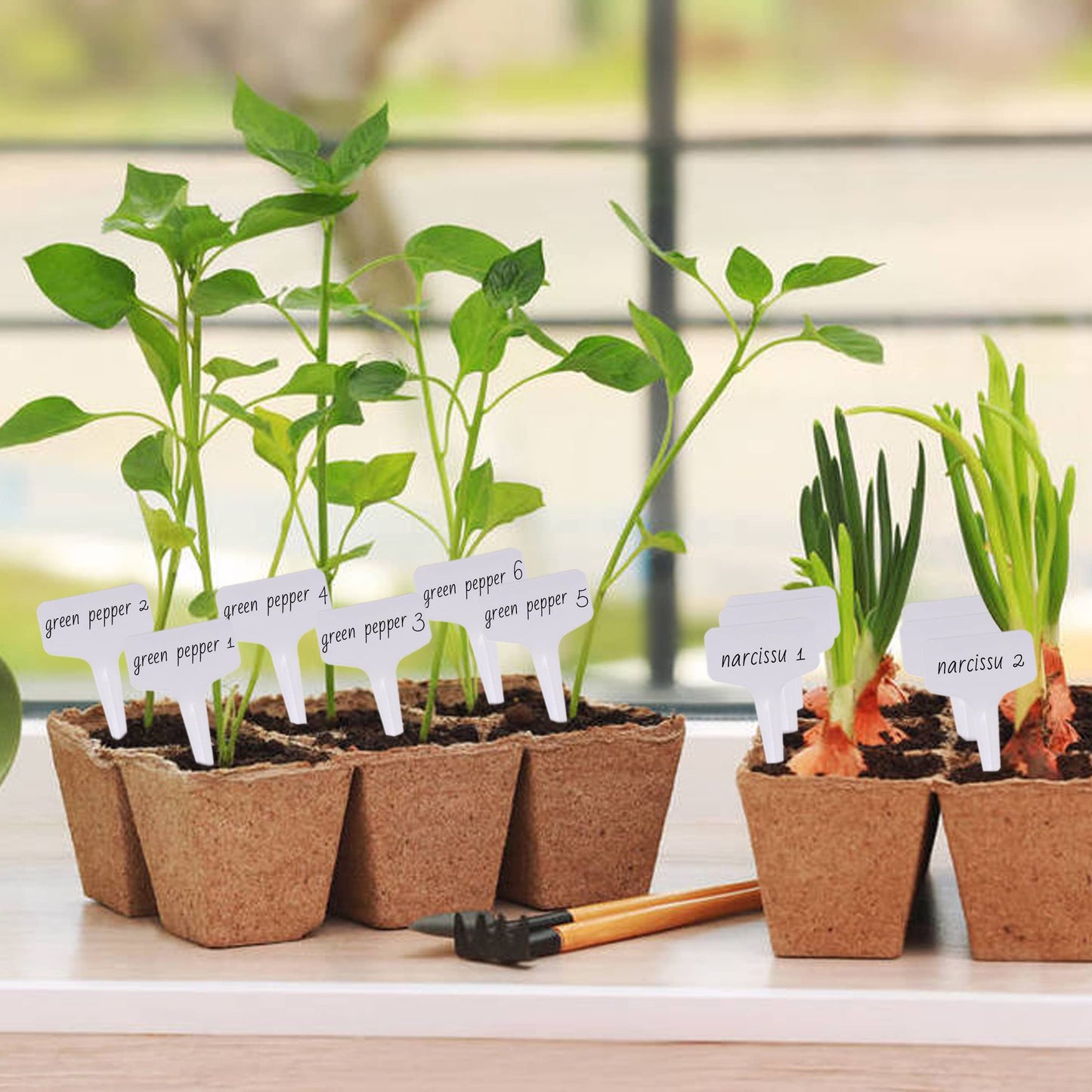Tags/Labels, 200Pcs 4 InchT-Type Plant Name Tags Garden Labels Markers Nursery Plastic Garden Tag for Outdoor Garden Waterproof Plant Label Stakes with Permanent Marking Pen