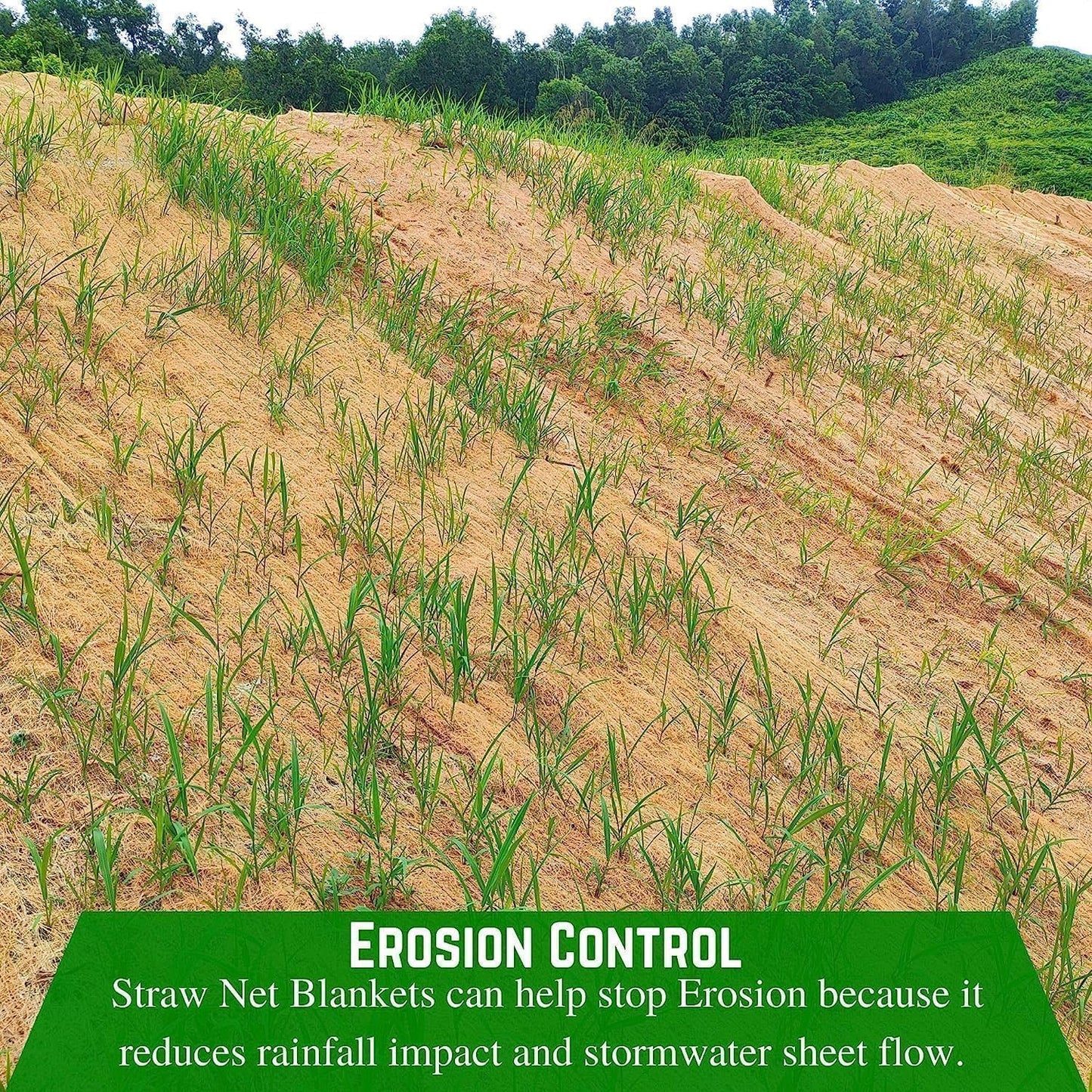 Farm Plastic Supply - Erosion Control Blanket - Straw Garden and Landscape Cover, Erosion Control Blanket, Straw Blanket, Erosion Control, Mulch, Slope Stabilizer, and Seed Protector (4' x 50')