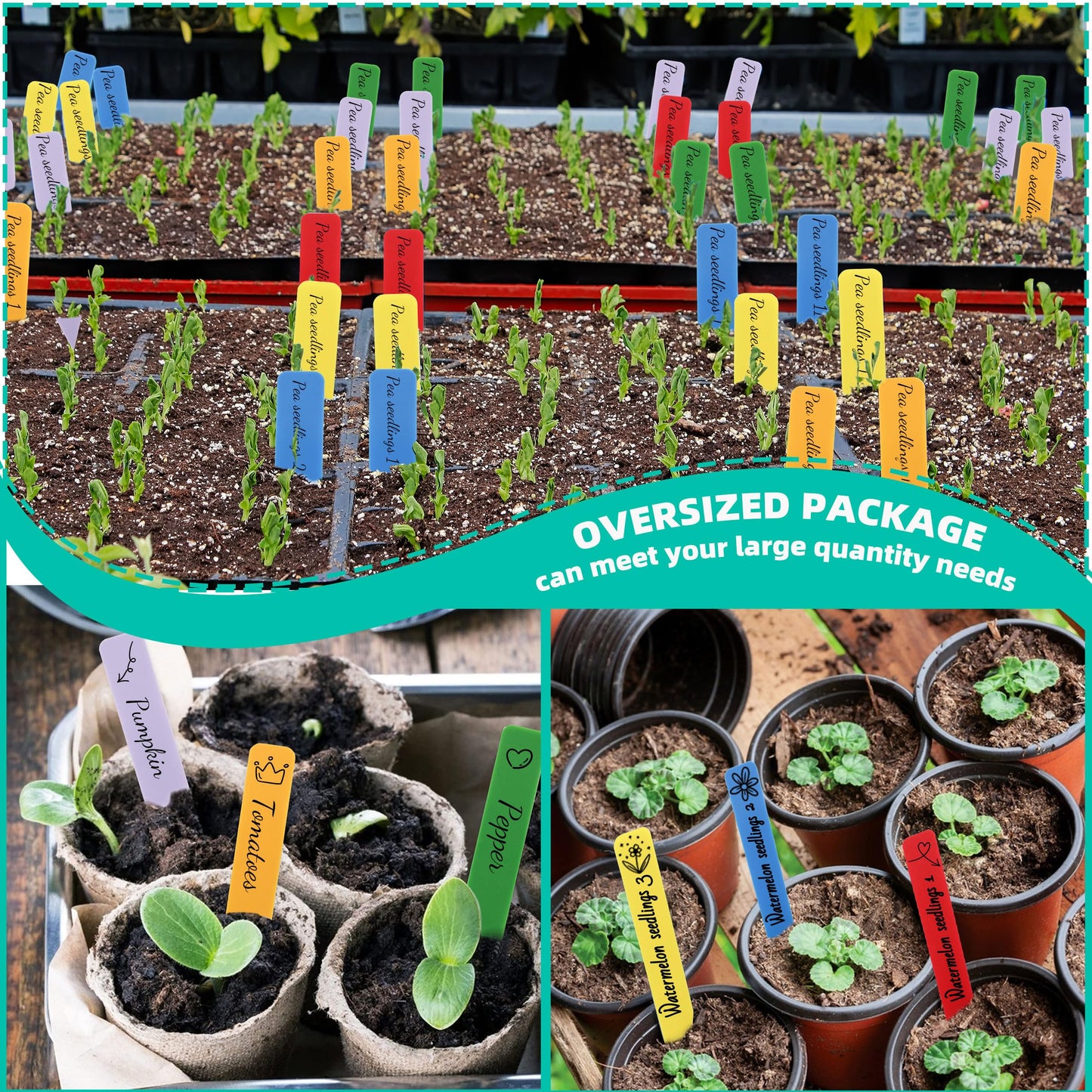 Plant Labels 4 Inch Plastic Plant Name Tags for Seedlings Garden Labels Markers Nursery Plant Tags Seed Labels Stakes with Permanet Marking Pen Plant Markers for Outdoor Garden (Multicolor600)