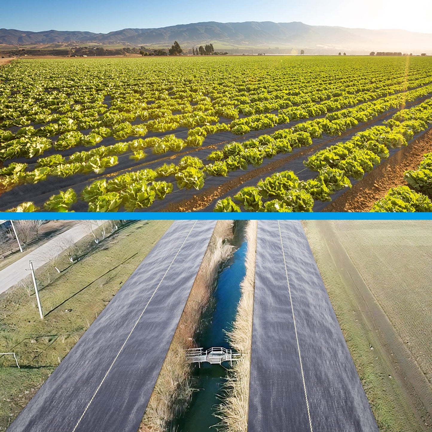 Weed Barrier Landscape Premium Fabric-Heavy Duty Sunocity 4ft x50ft Black Woven Ground Cloth with Superior Permeability Weed Control Convenient Design