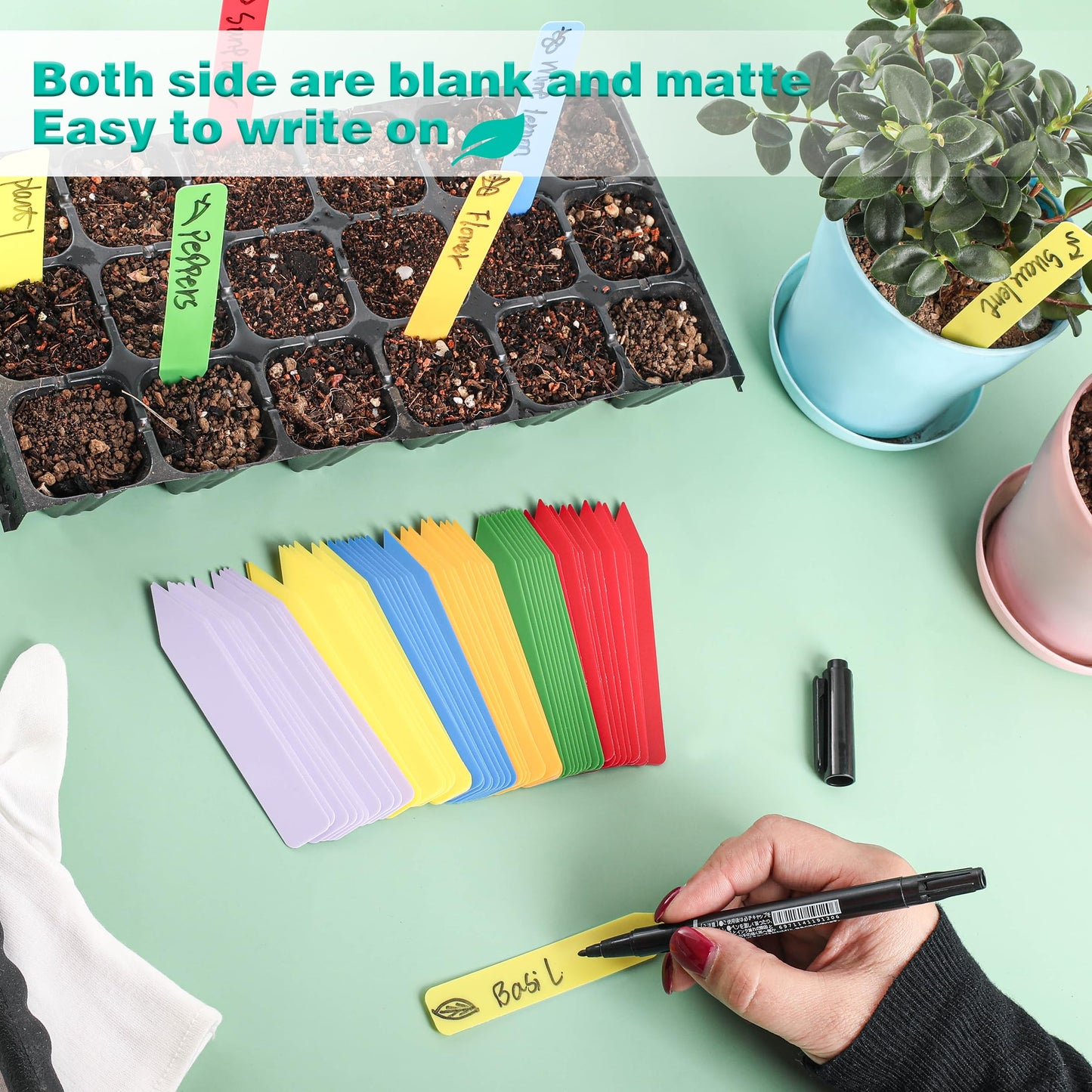 Plant Labels 4 Inch Plastic Plant Name Tags for Seedlings Garden Labels Markers Nursery Plant Tags Seed Labels Stakes with Permanet Marking Pen Plant Markers for Outdoor Garden (Multicolor600)