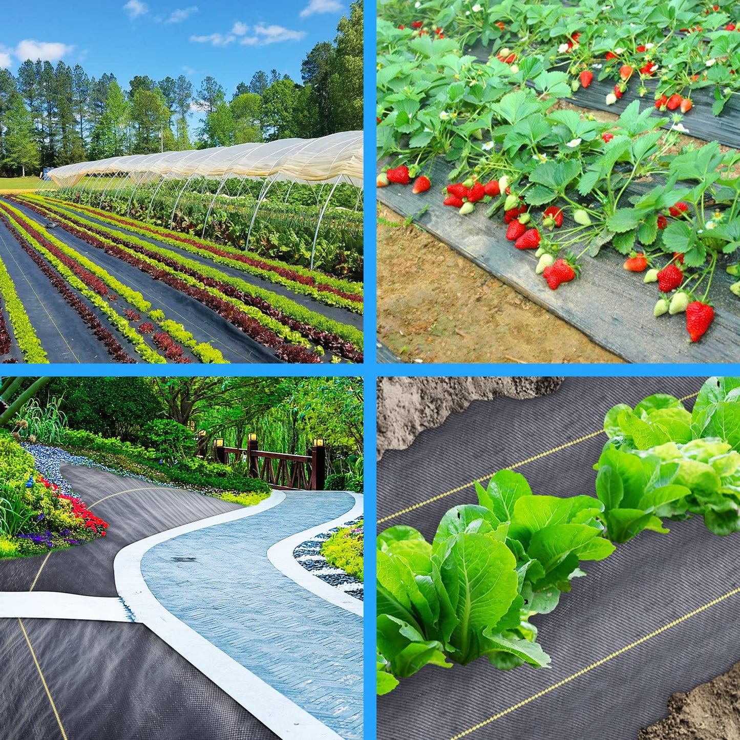 Weed Barrier Landscape Premium Fabric-Heavy Duty Sunocity 4ft x50ft Black Woven Ground Cloth with Superior Permeability Weed Control Convenient Design