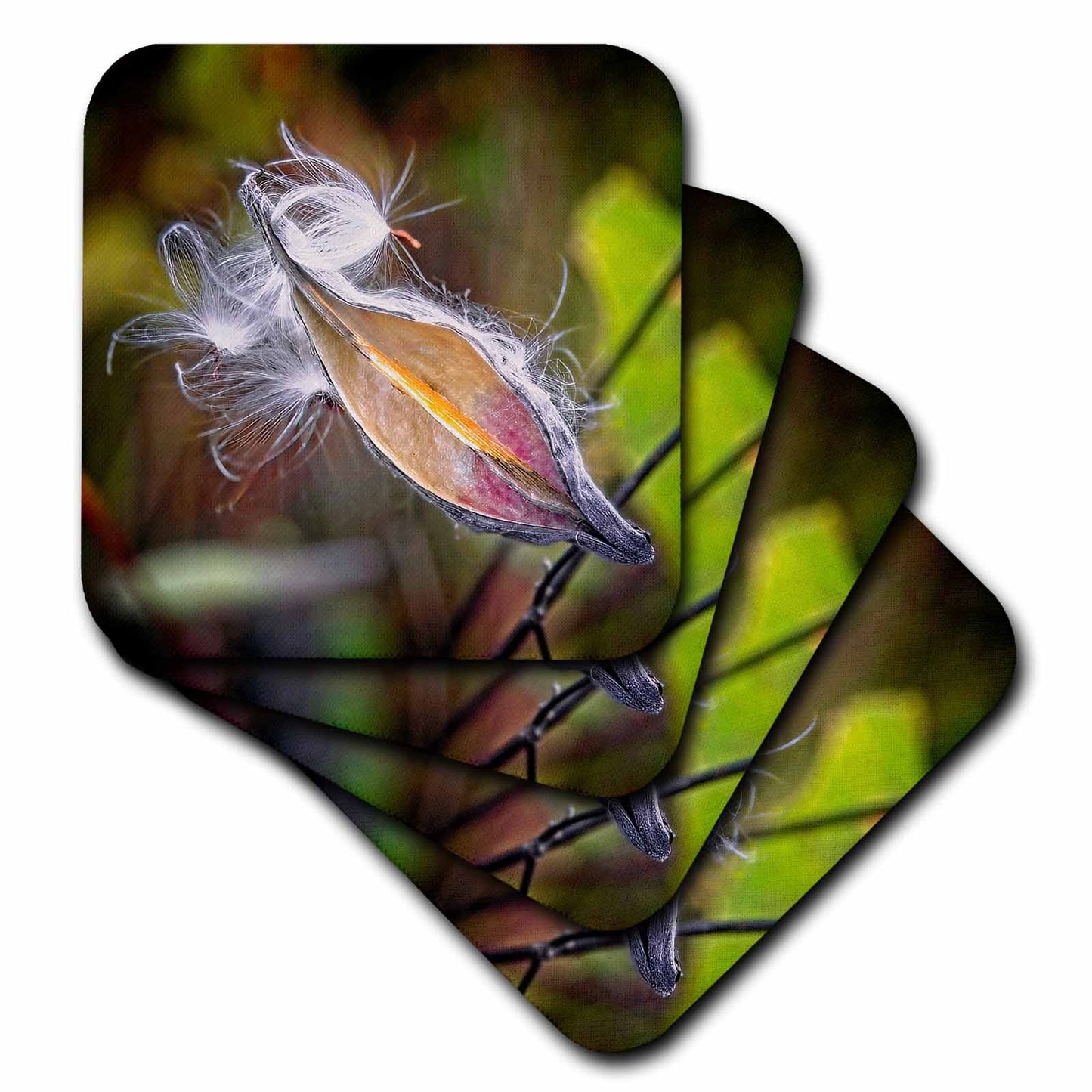 3dRose Boehm Photography Plant - Milkweed in Autumn - Coasters (cst-361539)