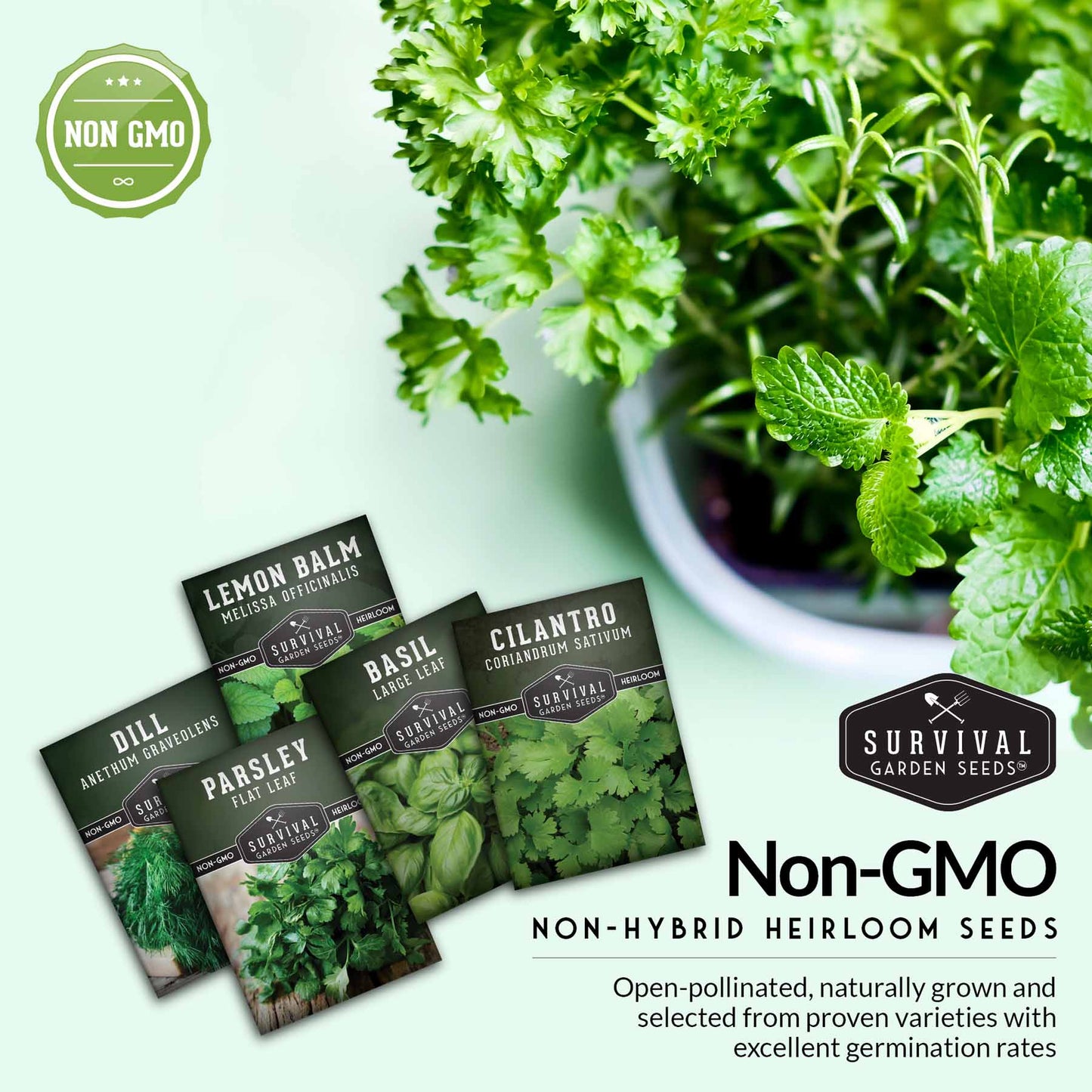 Herb Seeds Variety Pack – 5 Essential Culinary Herbs for Indoor or Outdoor Growing (Basil, Cilantro, Dill, Parsley & Lemon Balm) – Heirloom Non-GMO Garden Starter Kit