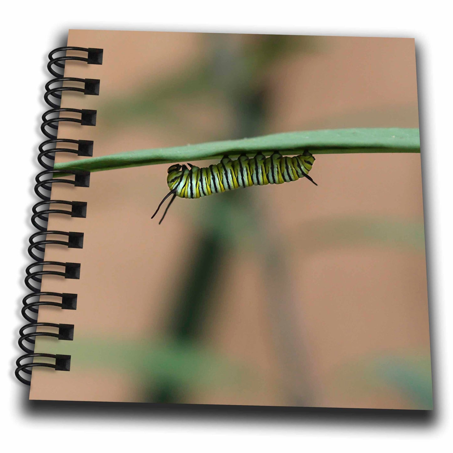 3dRose Stamp City - Insects - Photograph of a Monarch Caterpillar chowing Down on a Milkweed Plant. - Drawing Book