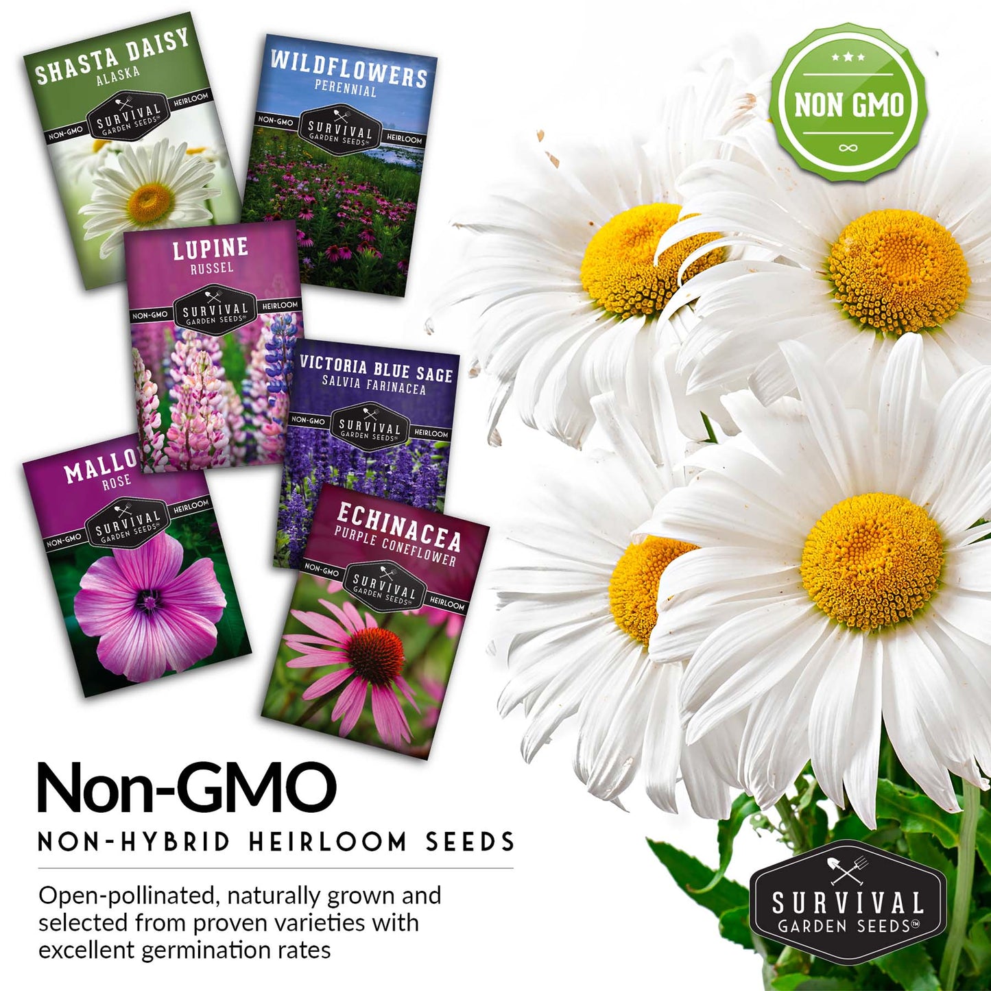 Perennial Flower Seed Collection – Non-GMO Heirloom Blooms for Pollinator Gardens, Borders & Year-Round Color