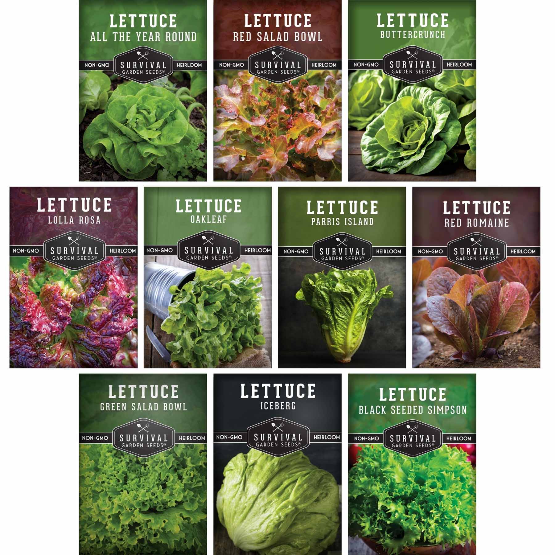 garden salad seeds Lettuce Seeds 10 Variety Heirloom Collection