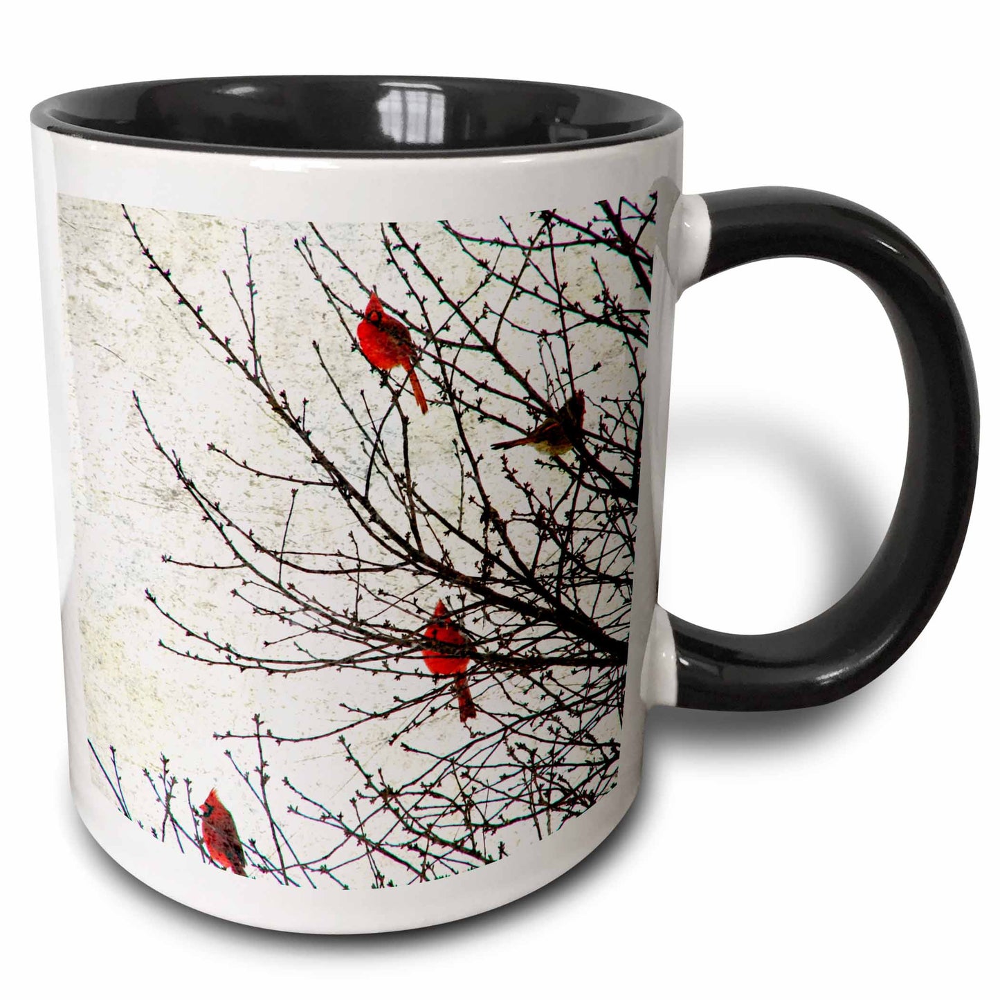 3dRose Cassie Peters Birds - Cardinals Photographed by Angelandspot - Mugs (mug_12387)
