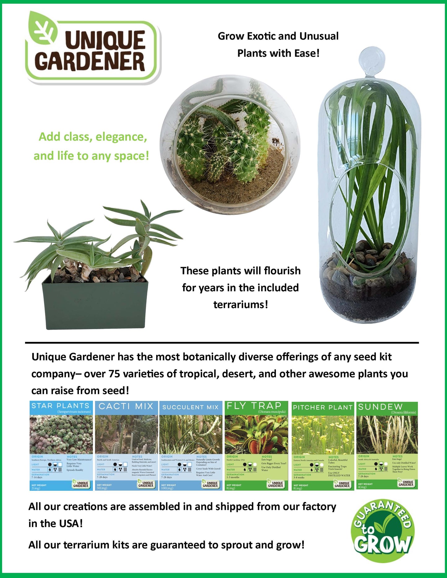 Wildflower Blooms Glass Terrarium Seed Starting Kit