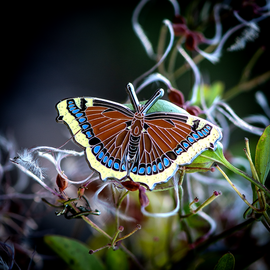 Pin, Enamel, Mourning Cloak Butterfly