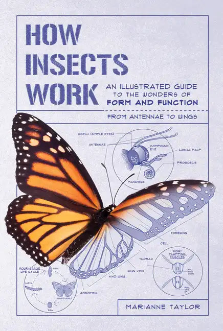 How Insects Work: An Illustrated Guide to the Wonders of Form and Function - From Antennae to Wings - Paperback