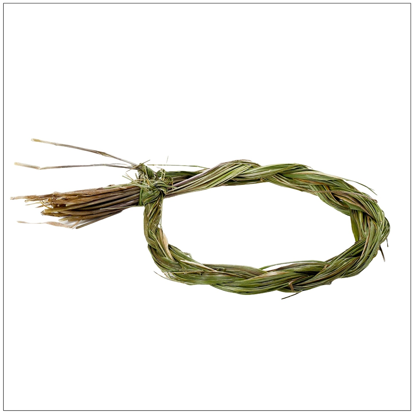 Dried Sweet Grass