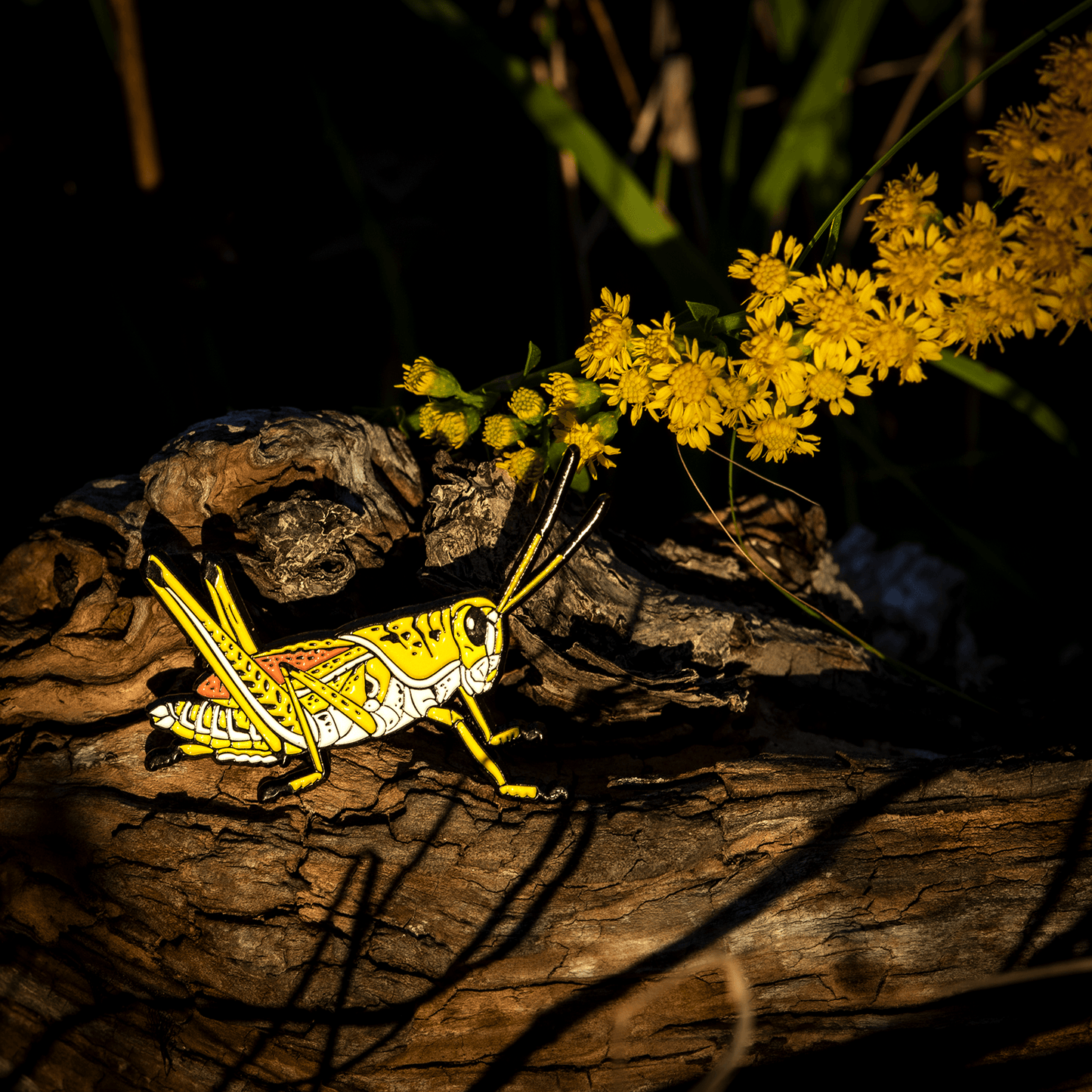 Pin, Enamel, Eastern Lubber Grasshopper