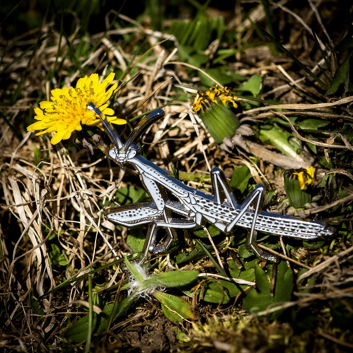 Pin, Enamel, Carolina Mantis Male