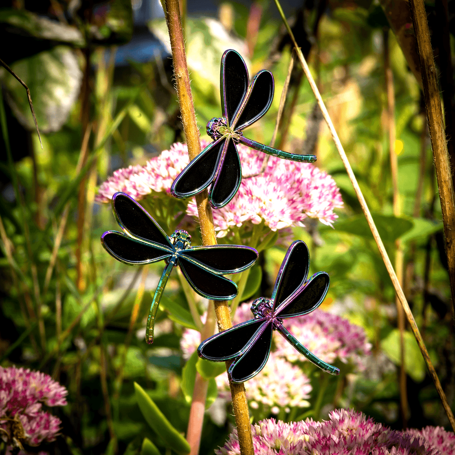 Pin, Enamel, Ebony Jewelwing Damselfly