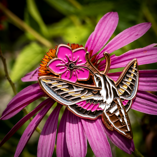 Pin, Enamel, Sphinx Moth & Flower