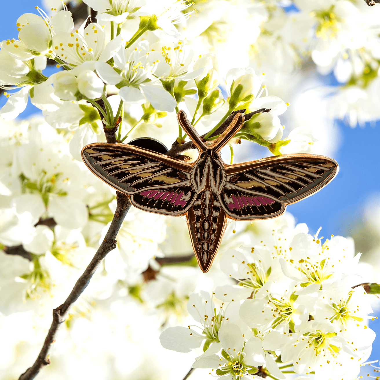 Pin, Enamel, White-lined Sphinx Moth