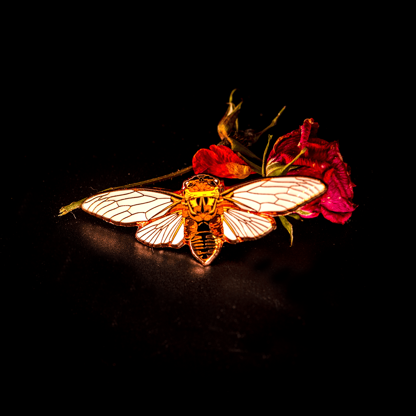 Pin, Enamel, Double Drummer Cicada