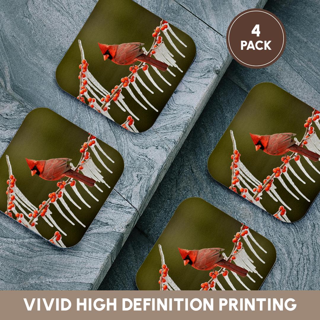 3dRose Danita Delimont - Songbirds - Northern Cardinal on ICY Branch of Holly, Hill Country, Texas - Coasters