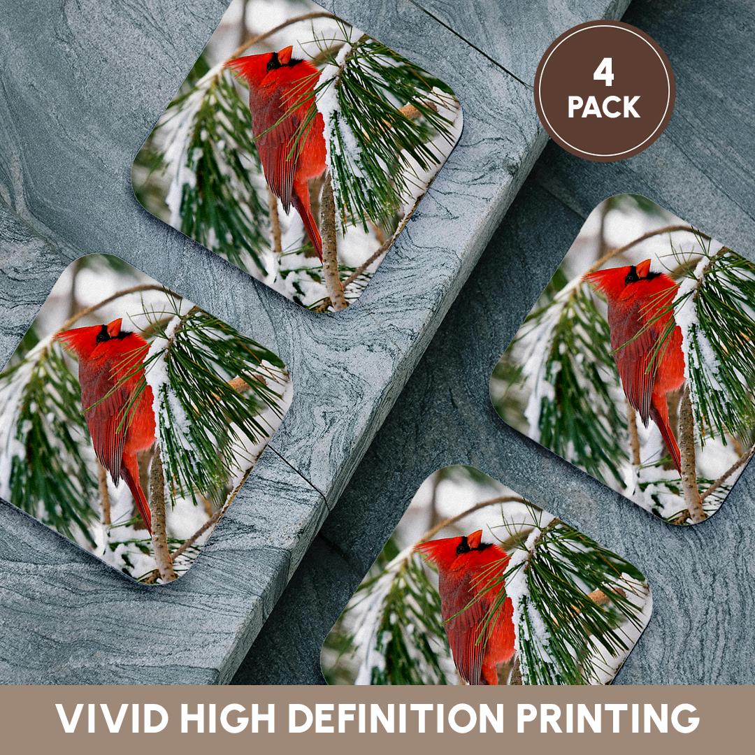 3dRose ToryAnne Collections Animals - Red and Black Cardinal Perched in Snowy Pine Tree - Coasters (CST_112146)