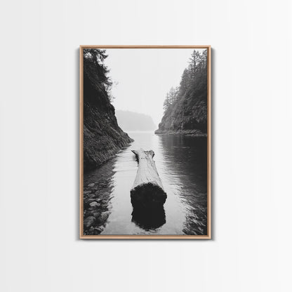 Driftwood Log, River Pass, Nature Silence, Misty Gorge, Framed Canvas Print, Office Wall Art, Modern Nature Decor, Moody Forest Style